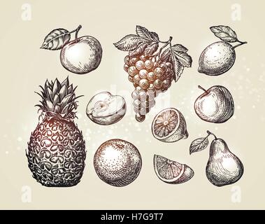 Kollektion Früchte skizzieren. Handgezeichnete Elemente wie Apfel, Ananas, Birne, Trauben, Orange, Zitrone-Vektor-illustration Stock Vektor