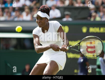 Venus Williams (USA) im Einsatz bei Wimbledon 2016 Stockfoto