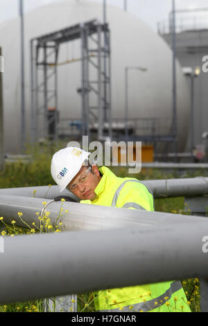 Wissenschaftler untersuchen Rohre Abwasser-Aufbereitungsanlage Stockfoto