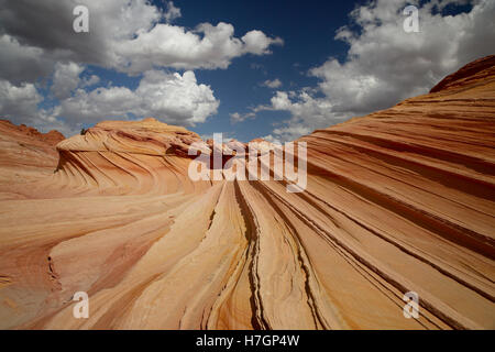 Felsformationen in den North Coyote Buttes, Teil der Vermilion Cliffs National Monument. Dieser Bereich ist auch bekannt als The Wave Stockfoto