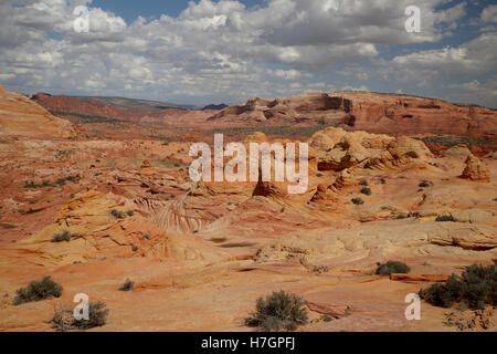 Felsformationen in den North Coyote Buttes, Teil der Vermilion Cliffs National Monument. Dieser Bereich ist auch bekannt als The Wave Stockfoto