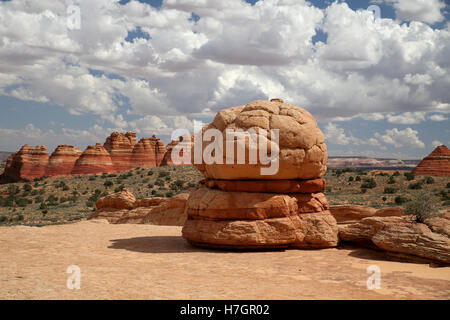 Felsformationen in den North Coyote Buttes, Teil der Vermilion Cliffs National Monument. Dieser Bereich ist auch bekannt als The Wave Stockfoto