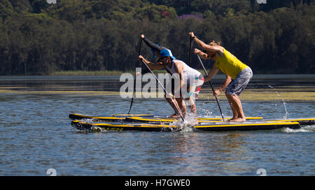 Sydney, Australien. 4. November 2016. Stand Up Paddle Board (SUP) Rennfahrer üben in Vorbereitung auf die Naish N1SCO Einheitsklasse Stand Up Paddle Board (SUP) Weltmeisterschaften in Sydneys See Narrabeen, Australien, 4. November 2016. Bis zu 100 der weltweit besten Stand up Paddel werden Boarder am Wettbewerb teilnehmen. Bildnachweis: Matt Burgess/Xinhua/Alamy Live-Nachrichten Stockfoto