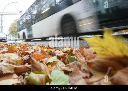 Hamburg, Deutschland. 4. November 2016. Herbstliches Laub liegt auf einem Bürgersteig in Hamburg, Deutschland, 4. November 2016. Die 430 Mitarbeitern der Stadt Reinigung haben viel zu tun im Herbst. Sie müssen sich mit rund 15.000 Tonnen Herbstlaub vor dem Starkregen November verwandelt sich die Blätter in eine Gefahr für Radfahrer und Fußgänger, wie die Stadt Reinigung Service Hamburg berichtet. Foto: BODO MARKS/Dpa/Alamy Live-Nachrichten Stockfoto