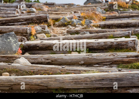 Hölzerne Log-Stufen auf einem kleinen Hügel, Tiefenschärfe, Daisetsuzan Nationalpark, Hokkaido, Japan Stockfoto