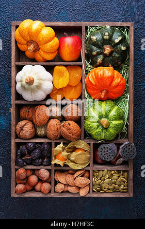 Set von Herbst Gemüse, Früchten, Nüssen und Samen in einem Holzkasten mit Zellen Draufsicht Stockfoto