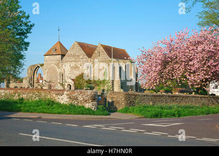 Spring Blossom an Winchelsea Kirche East Sussex UK Stockfoto