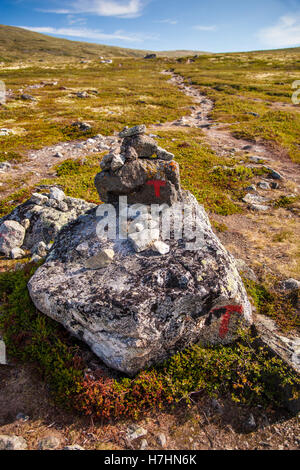 T-Zeichen durchgesetzt Berglandschaft Norwegen Nationalpark Dovre Stockfoto