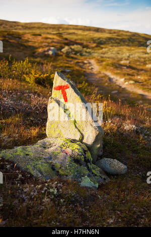 T-Zeichen durchgesetzt Berglandschaft Norwegen Nationalpark Dovre Stockfoto