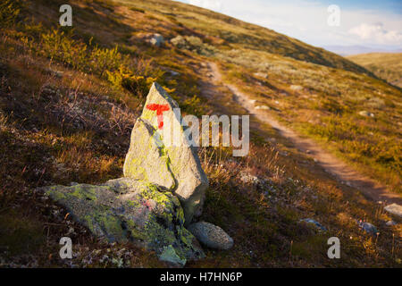 T-Zeichen durchgesetzt Berglandschaft Norwegen Nationalpark Dovre Stockfoto