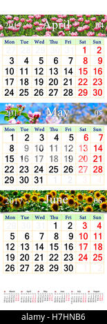 Bürokalender seit drei Monaten April Mai und Juni 2017 mit Bildern der Natur. Wandkalender für das zweite Quartal 2017 Stockfoto