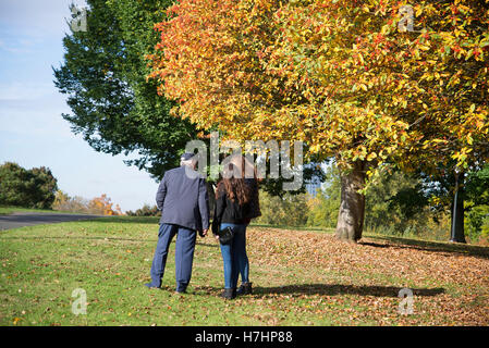 Schön herbstlich gefärbten Blätter an Bäumen in Primrose Hill, London. Stockfoto