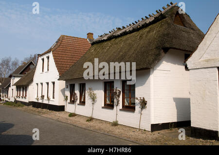 Strohgedeckte Häuser in Maasholm, Schleswig-Holstein Stockfoto