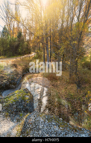 Herbst Creek mit Wanderwegen und Laub im Wald. Soria, Spanien Stockfoto