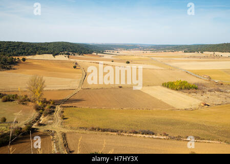 Blick auf eine Ebene Landschaft in der Provinz Soria, in Spanien Stockfoto