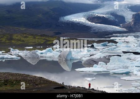 Skaftafell Gletscher, Fjallsárlón Eisberg Lagune Island Stockfoto