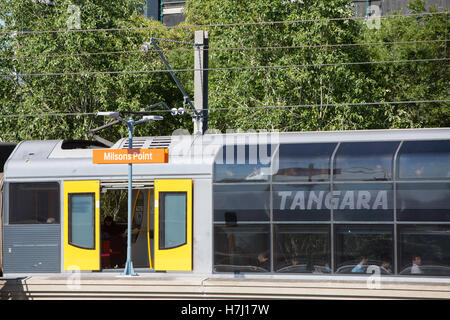 Sydney-Zug in Milsons Point Station im Norden von Sydney Harbour Bridge, Australien Stockfoto