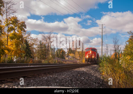 Trainieren Sie im Herbst kommen in Richtung Kamera. Stockfoto