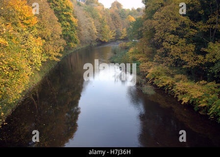 Kelvin Fluss an einem sonnigen Sommertag in der Nähe von Queen Margaret Drive Brücke im Kelvingrove Park, Glasgow, Schottland, Großbritannien. Stockfoto