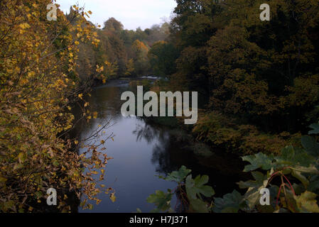 Kelvin Fluss an einem sonnigen Sommertag in der Nähe von Queen Margaret Drive Brücke im Kelvingrove Park, Glasgow, Schottland, Großbritannien. Stockfoto