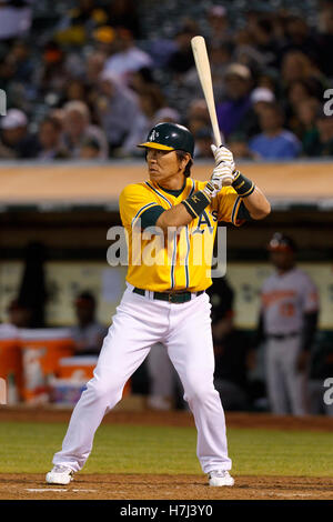 15. August 2011; Oakland, Kalifornien, USA;  Oakland Athletics Designated Hitter Hideki Matsui (55) an bat gegen die Baltimore Orioles während der siebten Inning O.co Coliseum.  Baltimore besiegten Oakland 6-2. Stockfoto