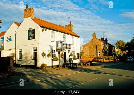 Der Grauschimmel, zogen, North Yorkshire Stockfoto