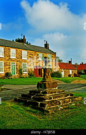 Dorf grüne Borrowby Yorkshire Stockfoto