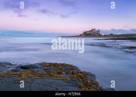 Sonnenuntergang über Bamburgh Castle an der Küste von Northumberland in North East England, Vereinigtes Königreich Stockfoto