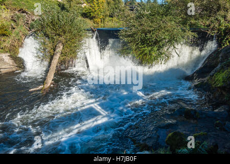 Closeup Aufnahme eines Teils der Tumwater fällt mit Büschen hängen über dem Wasser. Stockfoto