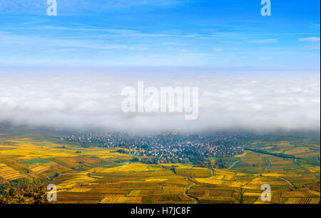 Schöne weiße Nebel Schicht über Weinberge des Elsass, Frankreich, Luftbild Stockfoto