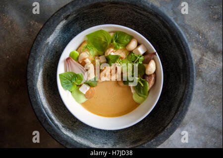 Wilde Pilzsalat mit Miso und Zitronengras-Püree und verkohlten Schalotten bei der gemeinsamen Tiger in Phnom Penh. Stockfoto