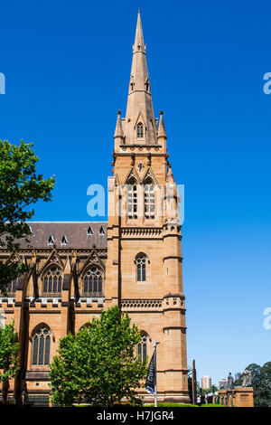 St. Marys Cathedral Sydney Australia angesehen vom Hyde Park entfernt Stockfoto