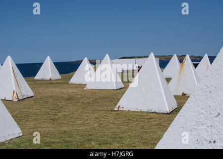 Drachenzähne auf den Punkt South Port Kembla Harbour Landzunge New South Wales Australien. Stockfoto