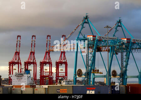 Peel Ports, Freeport Zollzonen £300m Tiefe Wasser Container Terminal Verlängerung Gantry und riesige Kragarmschienenmontierte Gantry megamax Krane (CRMG), die jetzt die größten Containerschiffe der Welt entladen können. Versand im Hafen von Liverpool, L2 Merseyside, Großbritannien Stockfoto