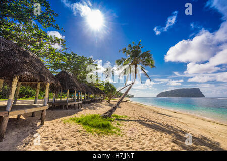 Tropischer Strand mit einer Kokosnuss-Palmen und einem Beach Fales, Samoa-Inseln Stockfoto