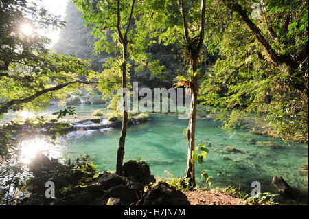 Naturdenkmal Park von Semuc Champey bei Languin über Guatemala Stockfoto