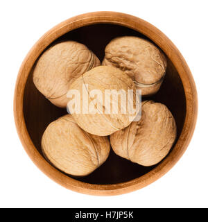 Ganze Walnüsse mit Muscheln in einer Holzschale auf weißem Hintergrund. Braun getrocknet Muttern der gemeinsamen Walnuss, Juglans Regia. Stockfoto