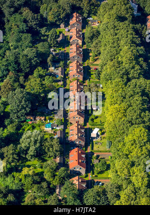 Luftbild, Oberhausen Umgebung Hauptbahnhof alte Bergbau Kolonie Gustavstrasse, historische Arbeiterviertel Immobilien Stockfoto