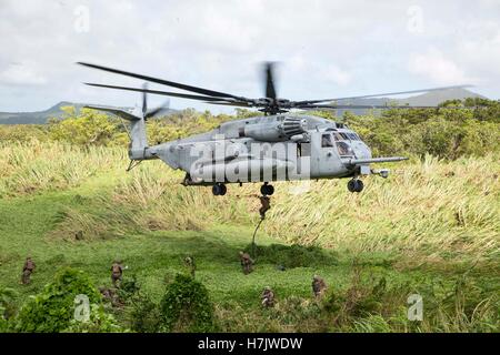 US-Soldaten schnell-Seil Abstieg von einem CH-53 Super Stallion-Hubschrauber während eine Geisel Dorf Trainingsszenario im Bereich zentralen Ausbildung 18. Juli 2014 in Okinawa, Japan. Stockfoto