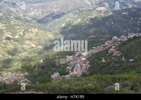 Die Stadt Chulumani von Koka-Plantagen umgeben. 12. Oktober 2012 - Sud Yungas, Bolivien Stockfoto