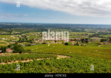 Beaujolais, Fleurie Dorf und seinen Weinberg, Departement Rhône, Frankreich, Europa Stockfoto