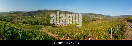 Sehen Sie sich auf den Beaujolais-Weinberg von Mont Brouilly, Rhône, Frankreich, Europa Stockfoto
