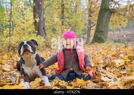 Glückliches Babymädchen in rosa warmen Mantel und Hut mit American Staffordshire Terrier geht aufwärts über die Kamera im Herbst park Stockfoto