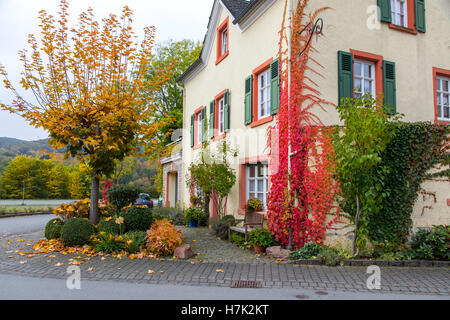 Fallen Sie die bunten Blätter an den Fassaden der Häuser in der Mosel Tal, Deutschland, Rebe Stockfoto