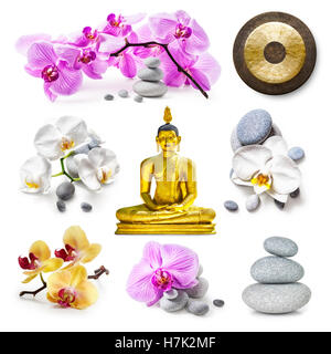 Zen Spa Hintergrund. Goldene Buddha Statue, Zen Steinen, Gong, rosa und weiße Orchidee blüht Sammlung isoliert auf weißem Hintergrund Stockfoto