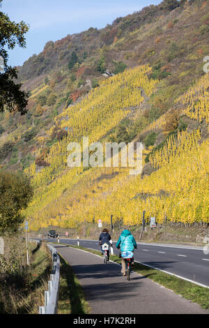 Radweg an der Mosel, Deutschland, entlang der Weinberge im Herbst, Stockfoto