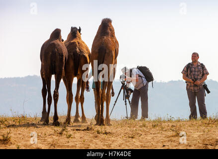 PUSHKAR, Indien - 21. November 2012: Fotografen fotografieren auf der Pushkar Messe (Pushkar Camel Fair, Pushkar Mela). Stockfoto