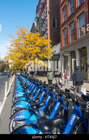 Eine Linie der Citi Bike Mieträder in einer New Yorker Straße im Herbst Stockfoto