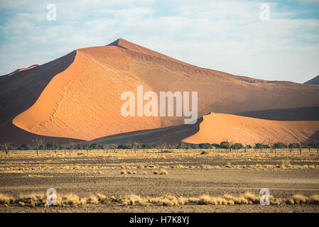 Eine riesige Sanddüne, Pflanzen und seltenen trockenen Vegetation im Vordergrund am Sossusvlei Region Namibias gedeckt Stockfoto