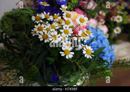 Brautjungfer bunten Wildblumen für eine Hochzeit Stockfoto